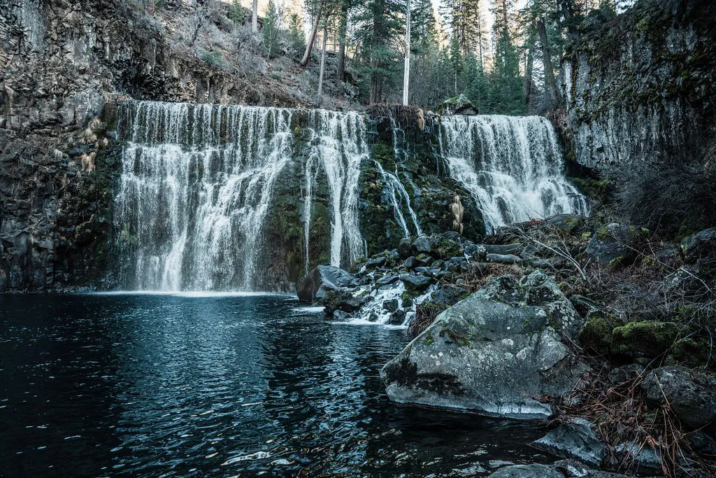 A waterfall pouring into a pool in the woods